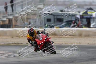 media/Mar-02-2025-Race Pace (Sun) [[8bec80ae00]]/12-Vested (Turn 2) 1111am/